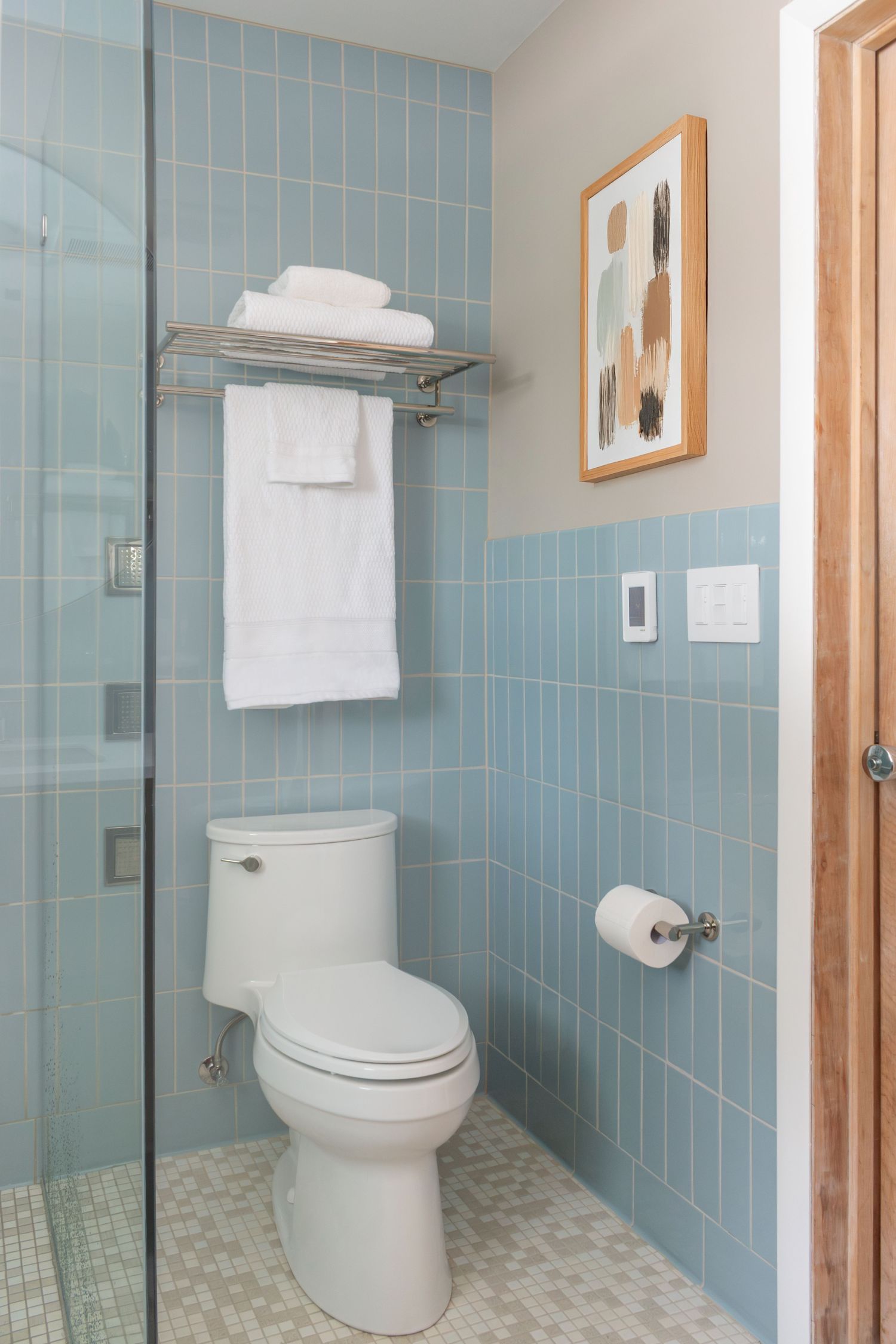 Kohler adiar toilet in primary bathroom with fireclay Egyptian blue wall tile